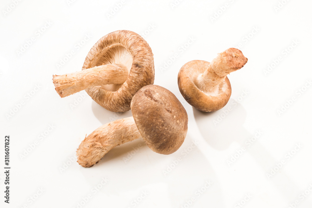 Shitake mushroom isolated on white. Shitake mushroom isolated on white.