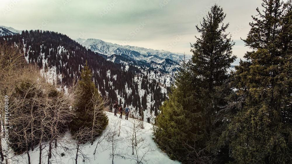 Travelers in the mountains. Three tourists stand on the crest of a mountain range among trees. Winter mountain tourism Travelers in the mountains. Three tourists stand on the crest of a mountain range among trees. Winter mountain tourism