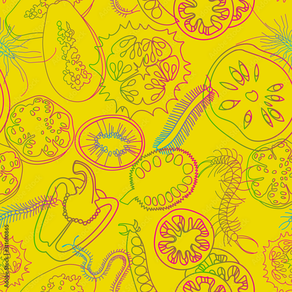Botanical seamless pattern. Sliced vegetables and fruits. Сentipedes. Line drawing.