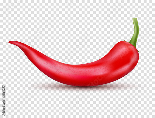 Fresh red hot chili pepper. Kitchen organic vector spicy taste chili mexican pepper
