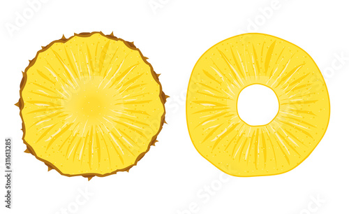 Pineapple vector slice fruit illustration. Realistic ananas piece isolated background, pineapple ring