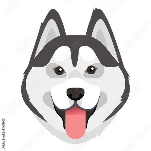 Siberian husky. Husky dog portrait. Husky head. Dog breed. Vector illustration. 