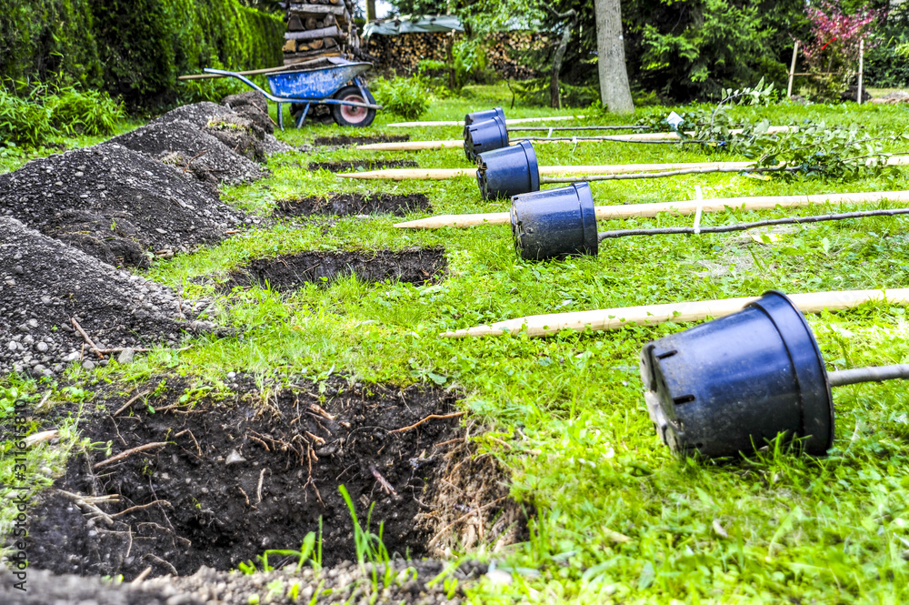 Fototapeta premium Pflanzlöcher