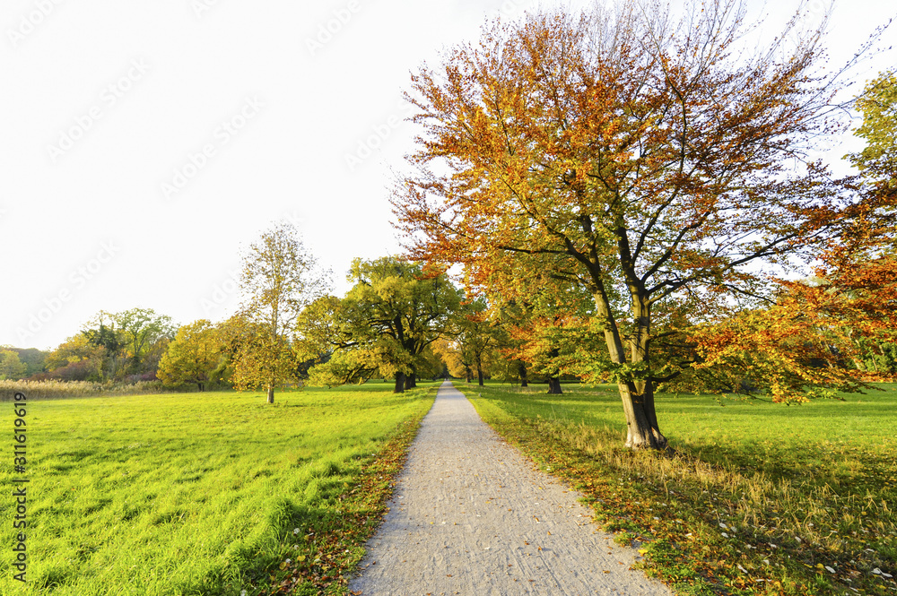 Landschaftsgarten Harrachpark im Herbst, Österreich, NIederöst