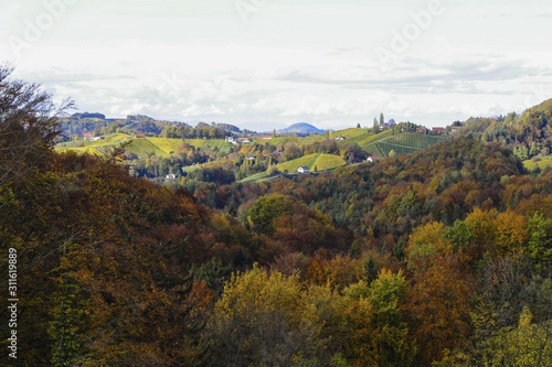 Südsteirische Weinstrasse im Herbst, Österreich, Steiermark, S © visualpower