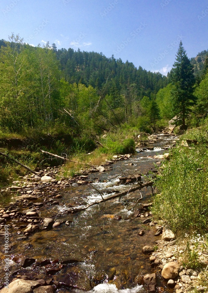 Stream in Mountains Stream in Mountains