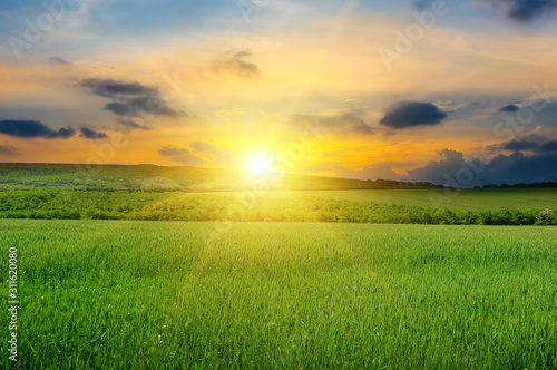 Green field, sunrise and blue sky.