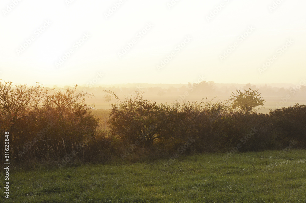 Herbst im Weingarten, Österreich, Burgenland, Nordburgenland Herbst im Weingarten, Österreich, Burgenland, Nordburgenland