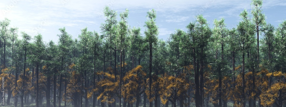 Panorama of the forest in the fog, 3D rendering. Panorama of the forest in the fog, 3D rendering.