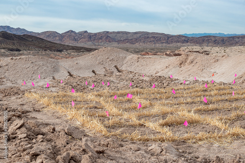 Принти на полотні USA, Nevada, Clark County, Lake Mead National Recreation Area