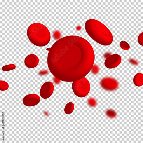 Vector vein blood red cell. Biology medical genetic health. Macro medicine science