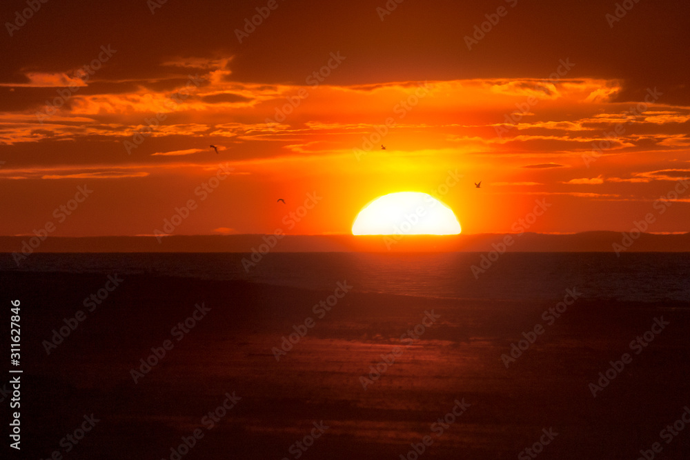 Big sun vanishing over the horizon in red orange seascape with seagulls