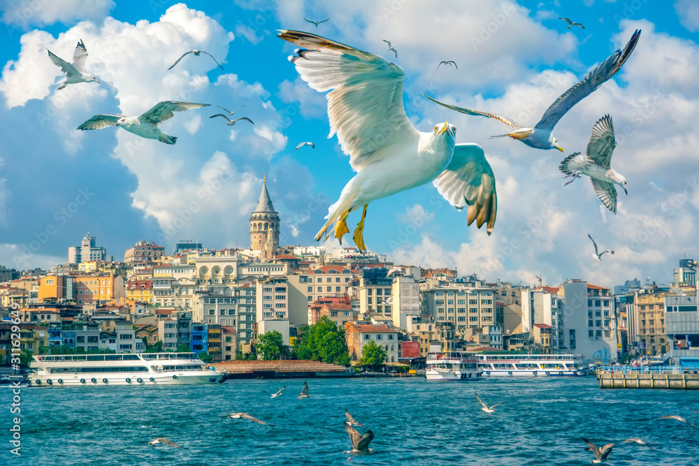 Fototapeta premium Muslim architecture and water transport in Turkey - Beautiful View touristic landmarks from sea voyage on Bosphorus. Cityscape of Istanbul at sunset - old mosque and turkish steamboats, view on Golden