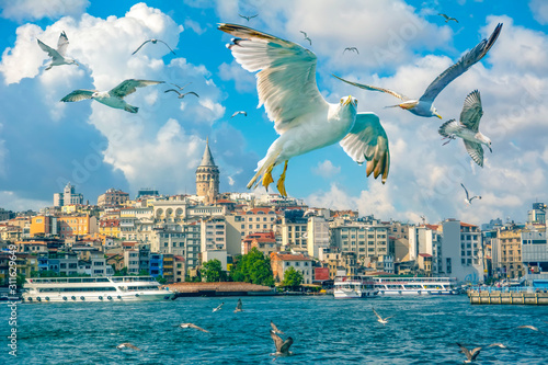 Fotografering Muslim architecture and water transport in Turkey - Beautiful View touristic landmarks from sea voyage on Bosphorus