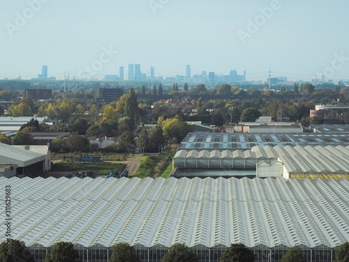 Greenhouse Complex in The Netherlands with the skyline of the city of The Hague on the horizon