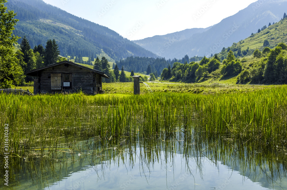 Teich mit Schilf in einer Hügellandschaft, Österreich, Tirol