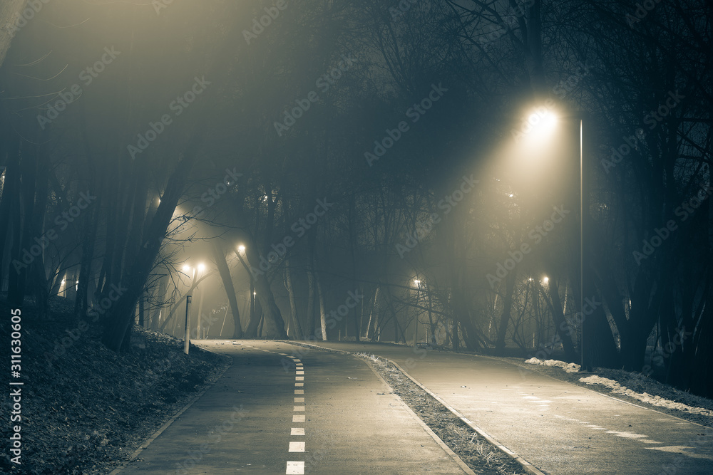 Fog in the night park, autumn winter landscape, cold weather, black and white