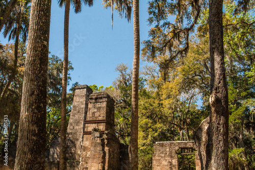 Bulow Plantation Ruins, Florida photo