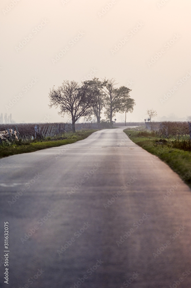 Einsame Landstrasse, Österreich, Burgenland, Neusiedlersee Seew Einsame Landstrasse, Österreich, Burgenland, Neusiedlersee Seew