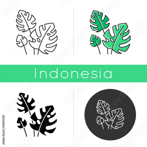 Monstera leaves icon. Evergreen tropical forest vines. Swiss cheese plant. Discovering Bali nature. Indonesian exotic plants. Linear, black, chalk and color styles. Isolated vector illustrations