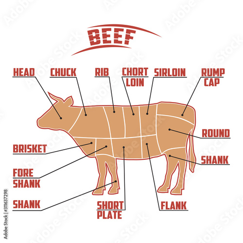 meat diagram of a cow, silhouette of a cow, beef cutting scheme