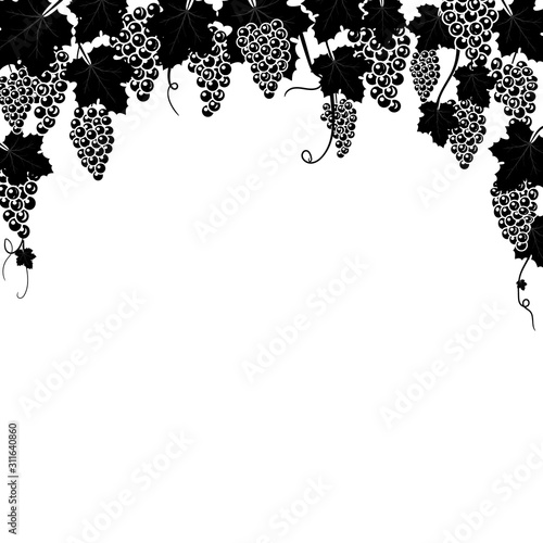 grapes  border drawing. Vector hand drawn fruit frame. ripe grapes with leaves and berries black and white sketch, hand drawing.  Great for tea packaging, label, icon, greeting cards, decor