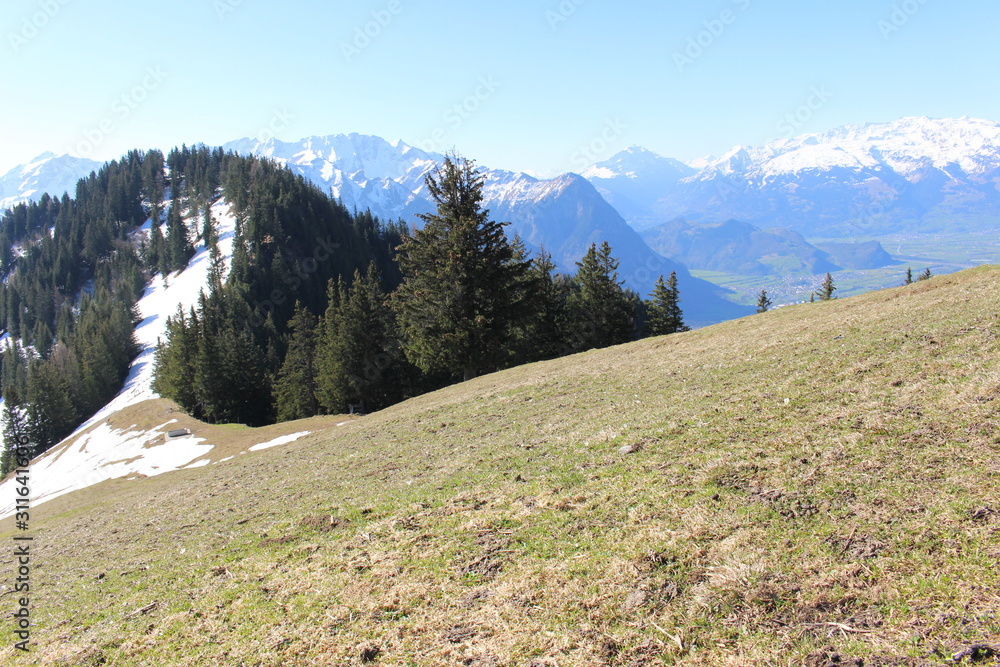 Obraz premium Landscape of snowy Alp mountains with forests, taken from Alpspitz peak in Gaflei village in the municipality of Triesenberg in Principality of Liechtenstein.