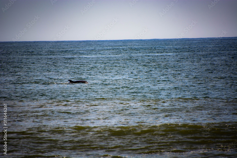 Fototapeta premium Spring Lake