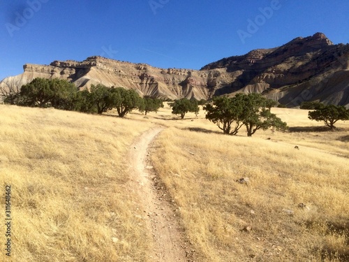 Mountain Bike Trails in Fruita, CO