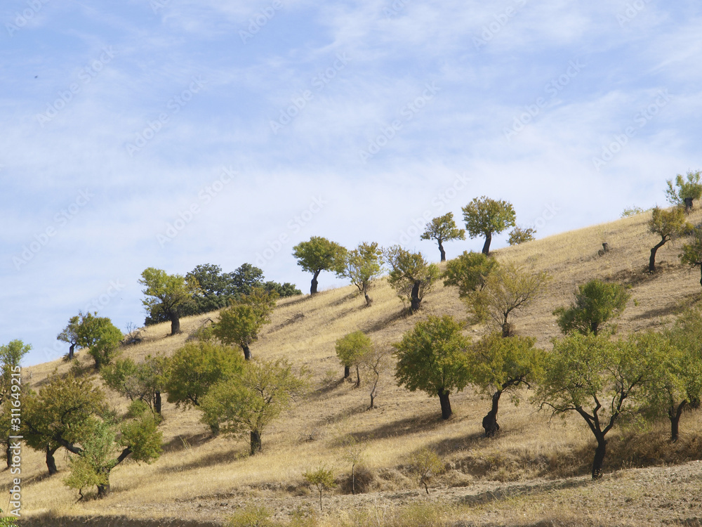 Karge Gebirgslandschaft in Andalusien, Spanien, Andalusien