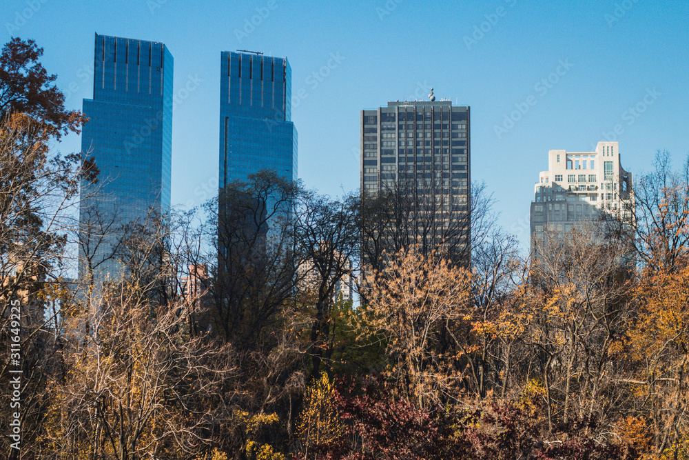 Obraz premium skyscrapers in new york city