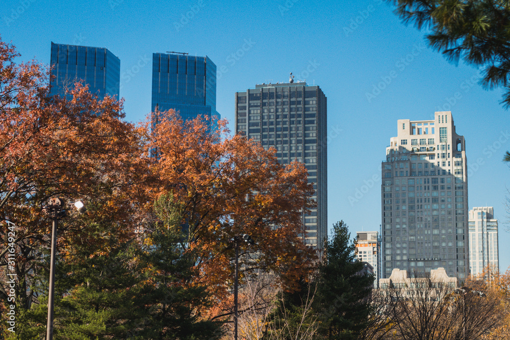 Obraz premium skyscrapers in new york city