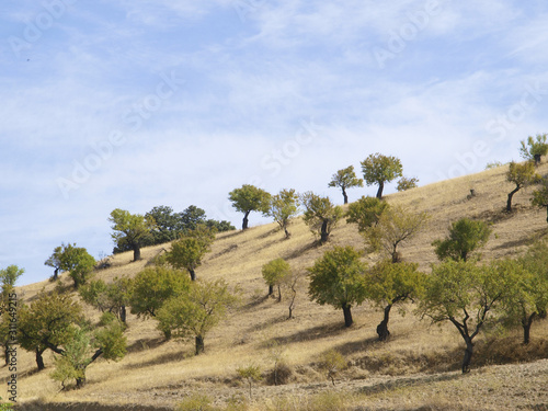 Karge Gebirgslandschaft in Andalusien, Spanien, Andalusien