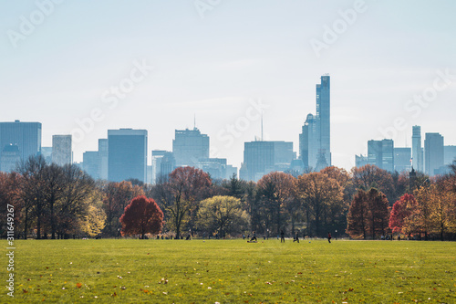 new york city skyline Central Park