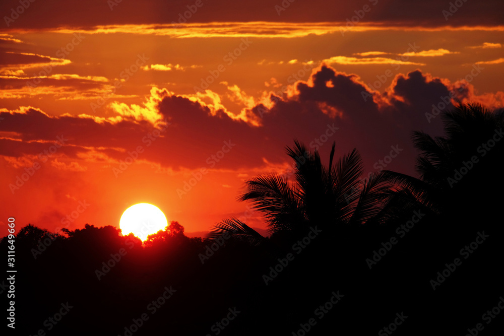 silhouette coconut tree and silhouette sunset with big sun and orange red sky cloud in the evening /