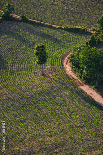 Road view from above with tree in the countryside asian - Aerial view over mountain road going through forest landscape and agricultural area