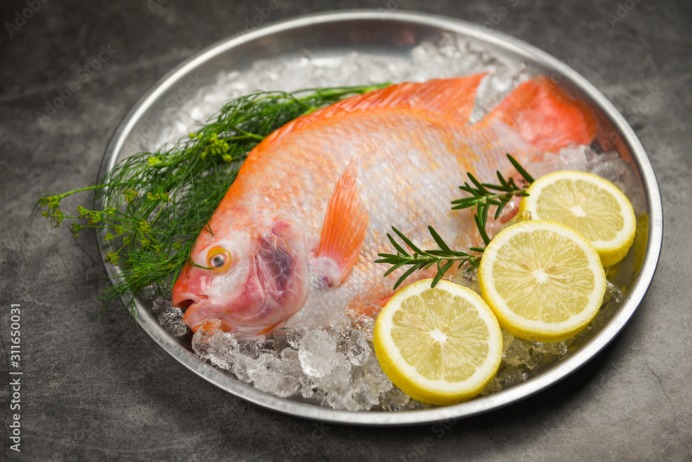 Fresh fish on ice with herbs spices rosemary and lemon - Raw fish red tilapia on plate background