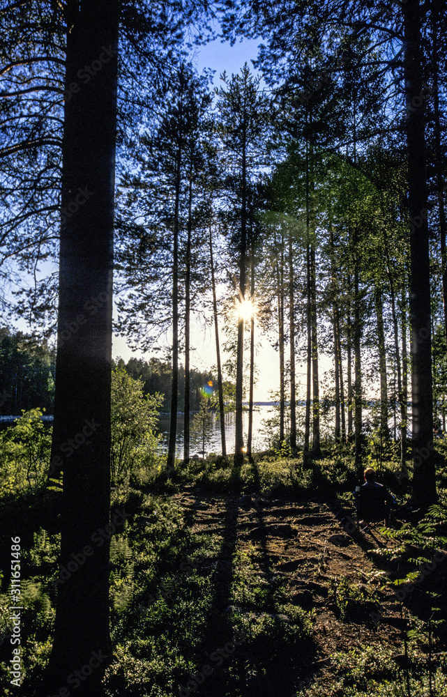 Obraz premium Nadelwald, Finnland, Nordostfinnland, Suomussalmi