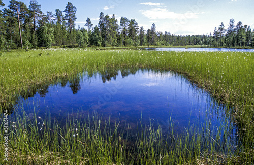 Seelandschaft, Finnland