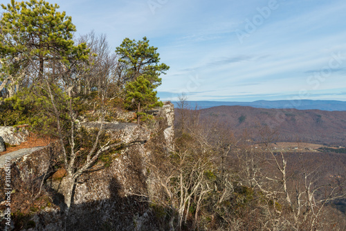 Trees on the edge of a high cliff in Appalachian mountains, Virginia, USA photo