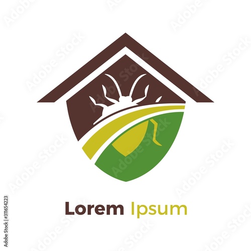 Home pest control logo concept, top roof with bug in the shield of leaf