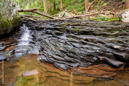 Cascades on Daniel Creek Below Cherokee Falls, Cloudland Canyon State Park, Georgia photo