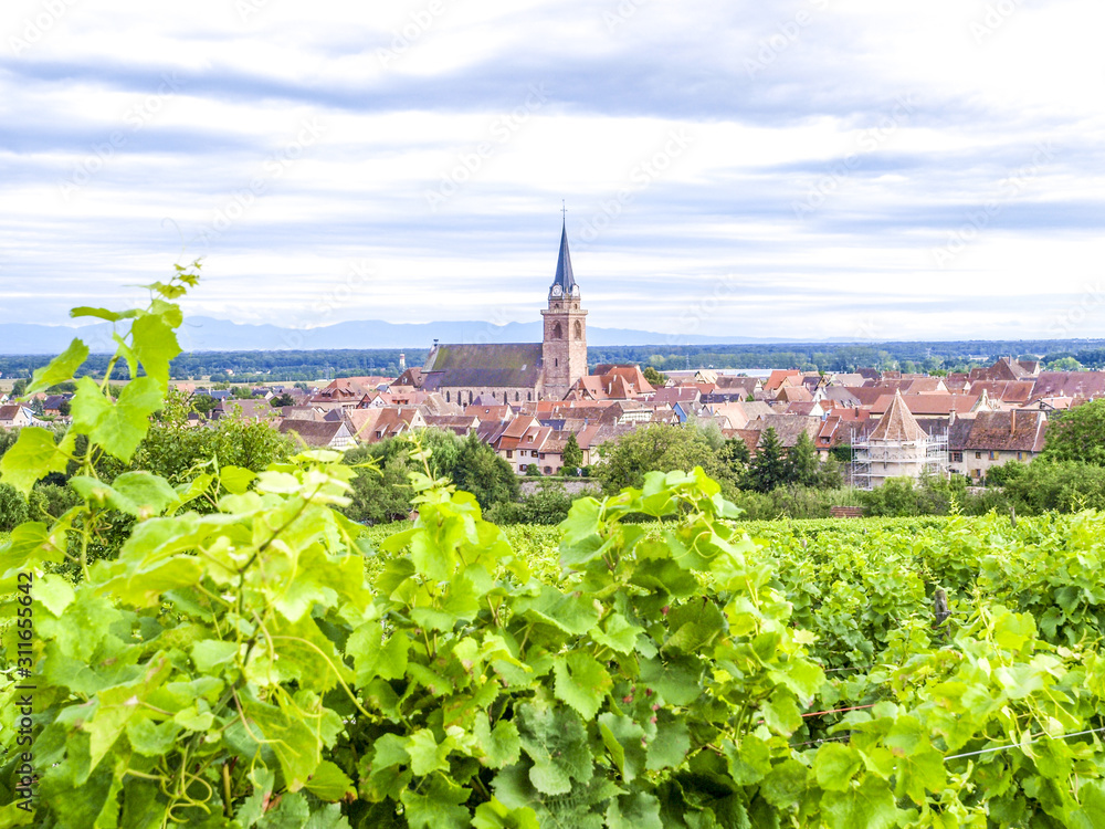 Weinbauregion Elsass, Alsace, Frankreich, Elsass, Bergheim