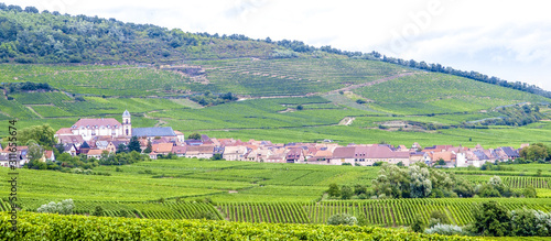 Weinbauregion Elsass, Alsace, Frankreich, Elsass