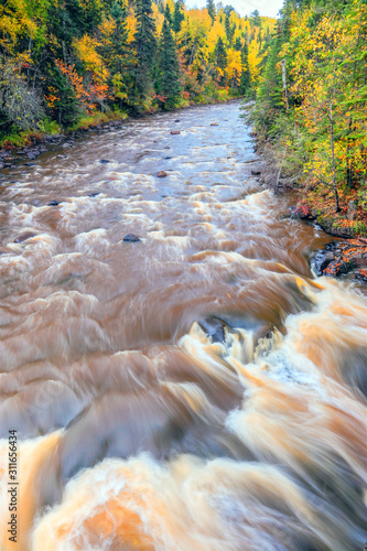 river through the forrest 