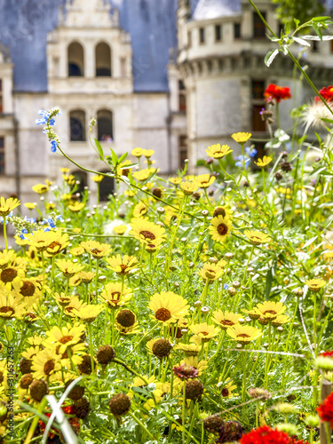 Chateau d Azay le Rideau, Frankreich, Loire-Tal, Azay le Rideau photo