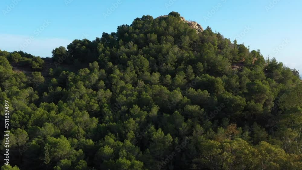 Forest in Malaga Spain aerial view discovering the city sunny day Andalucia Forest in Malaga Spain aerial view discovering the city sunny day Andalucia