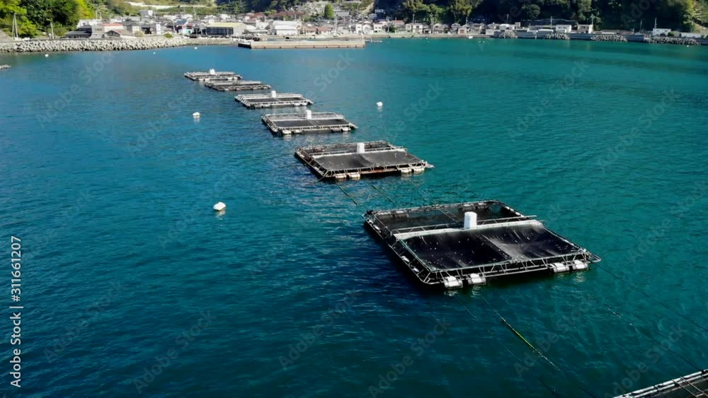 宇和島の養殖場を空撮