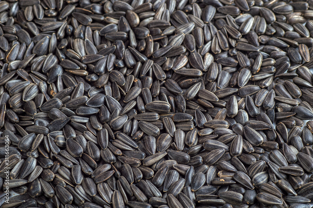 Black sunflower seeds. For texture or background Black sunflower seeds. For texture or background