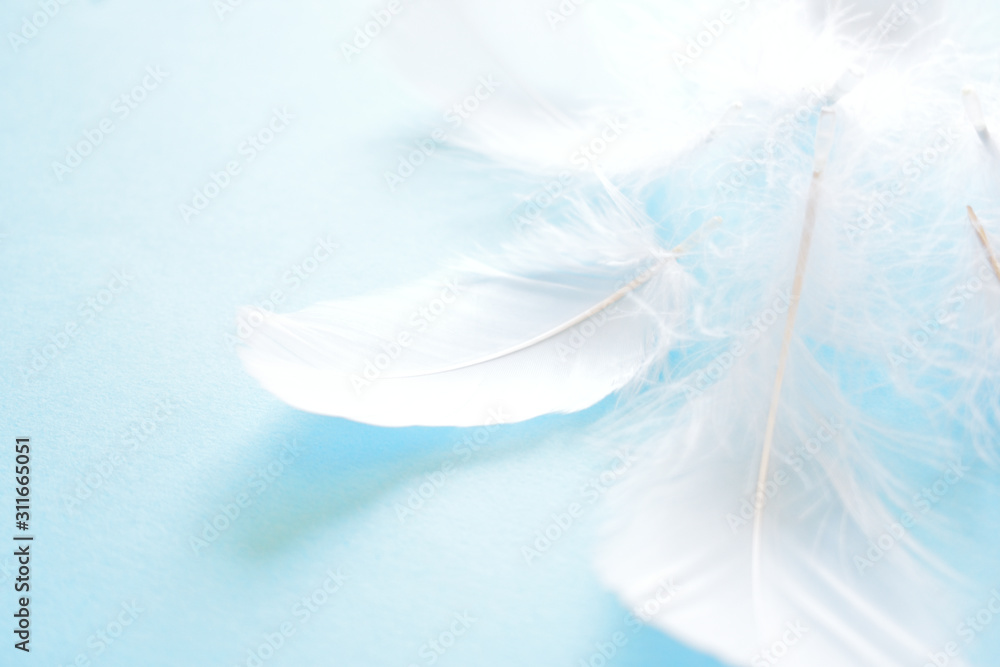 羽根 背景素材 Stock Foto Adobe Stock 羽根 背景素材 Stock Foto Adobe Stock